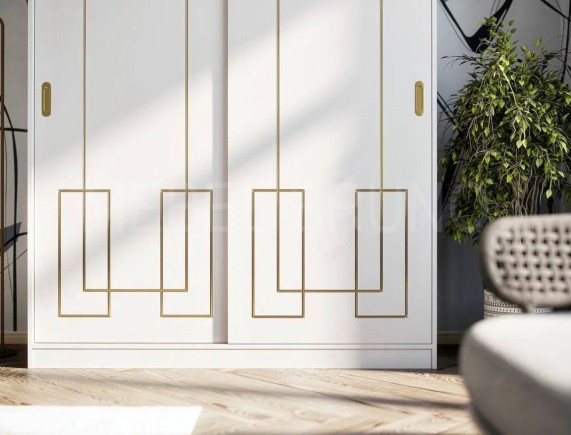 Шкаф-купе Басса