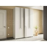 Шкаф-купе Баст 