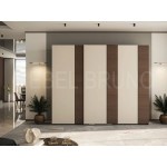 Шкаф-купе Делли 