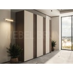 Шкаф-купе Делли 