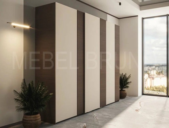Шкаф-купе Делли