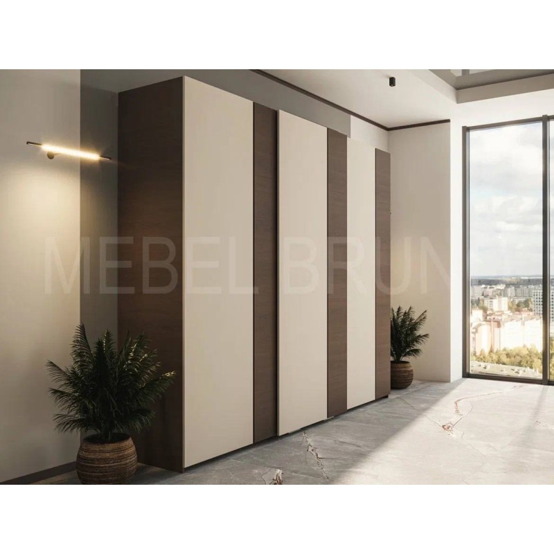 Шкаф-купе Делли 