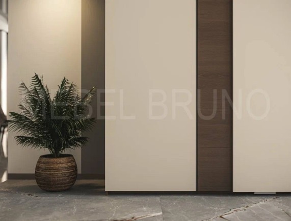 Шкаф-купе Делли