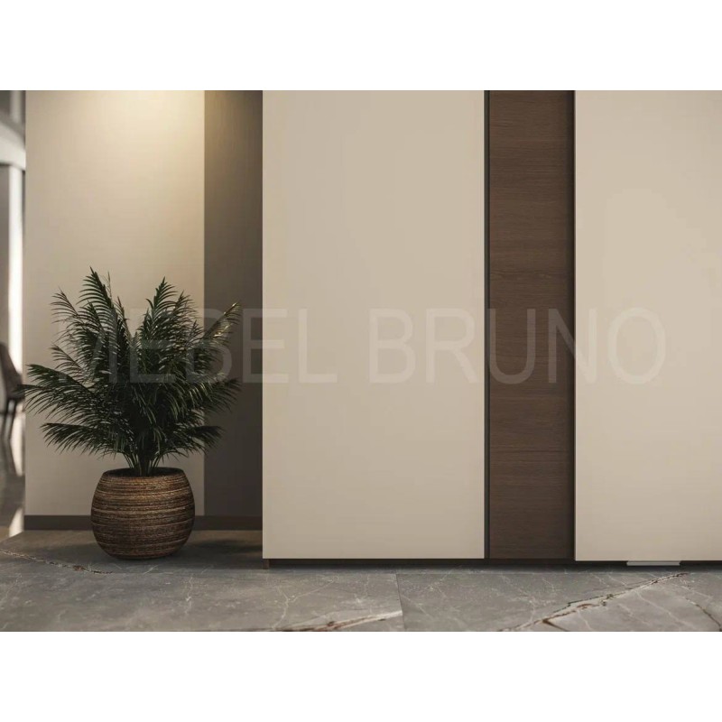 Шкаф-купе Делли 