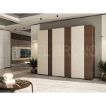 Шкаф-купе Делли 