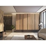 Шкаф-купе Феликс 