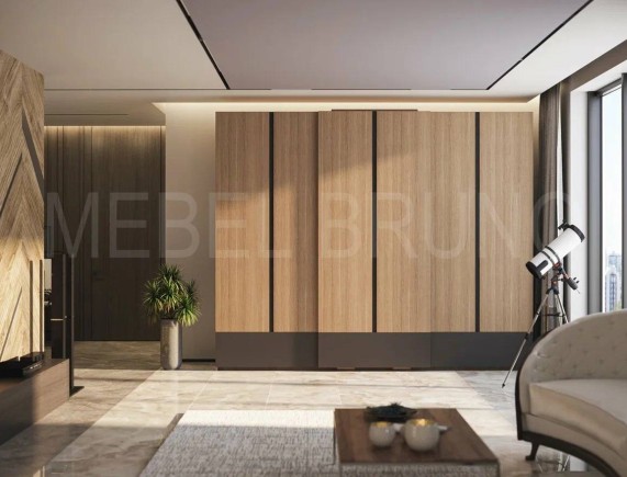 Шкаф-купе Феликс