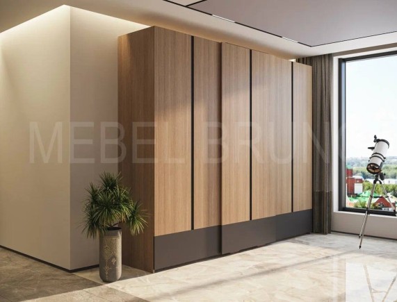 Шкаф-купе Феликс