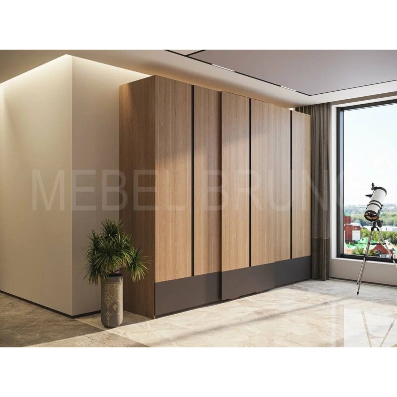 Шкаф-купе Феликс 