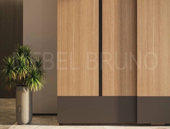 Шкаф-купе Феликс