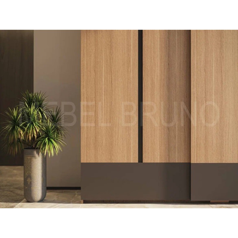 Шкаф-купе Феликс 