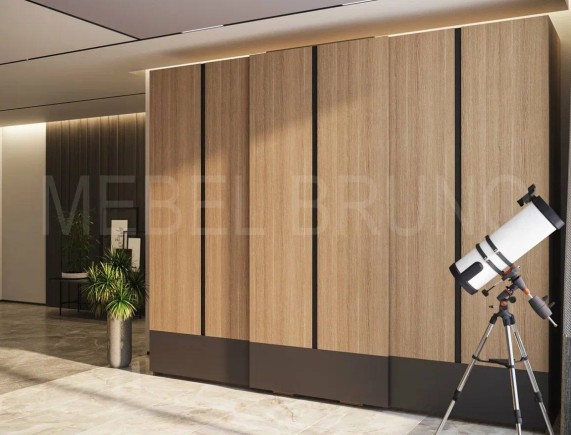 Шкаф-купе Феликс