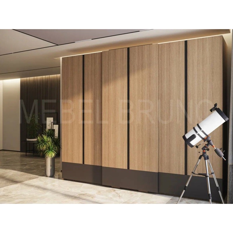 Шкаф-купе Феликс 