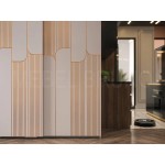 Шкаф-купе Изабелла 