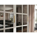 Шкаф-купе Лорено