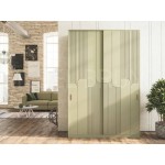 Шкаф-купе Лотис 