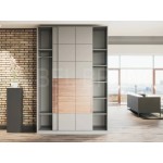 Шкаф-купе Монс 