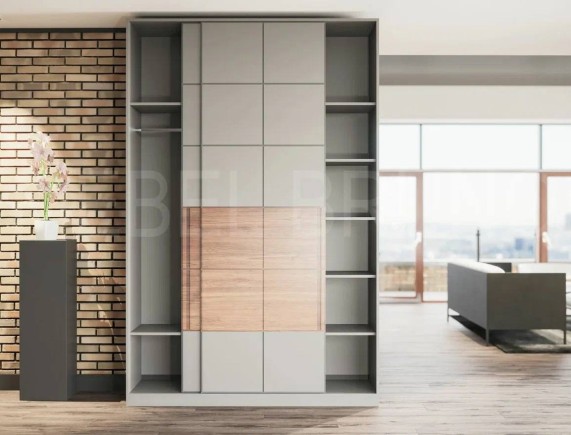 Шкаф-купе Монс