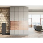 Шкаф-купе Монс 