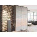 Шкаф-купе Монс 