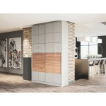 Шкаф-купе Монс 