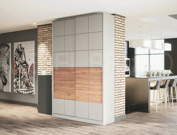 Шкаф-купе Монс