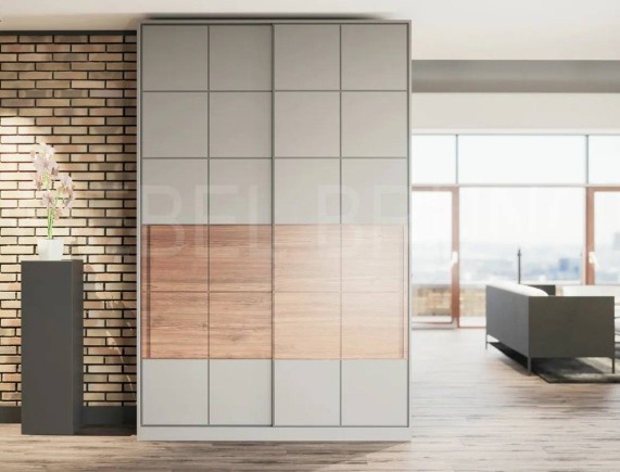 Шкаф-купе Монс