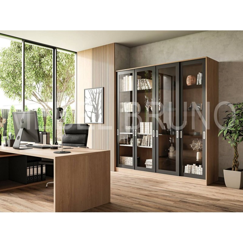 Шкаф-купе Остер