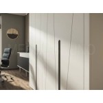 Шкаф-купе Прай