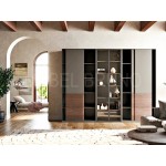 Шкаф-купе Симбиоз 