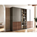 Шкаф-купе Симбиоз 