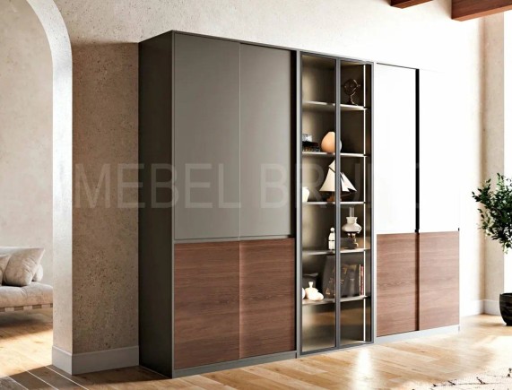 Шкаф-купе Симбиоз