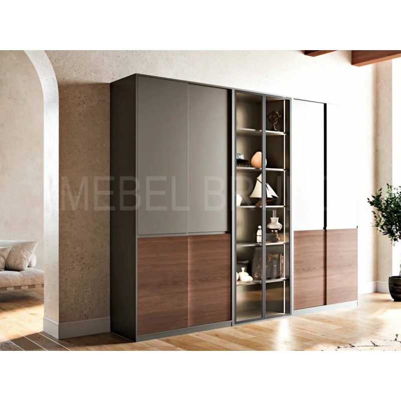 Шкаф-купе Симбиоз 