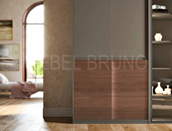 Шкаф-купе Симбиоз