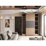 Шкаф-купе Скаген 