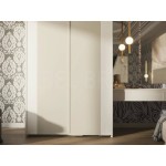 Шкаф-купе Тис 