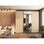 Шкаф-купе Венто