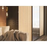 Шкаф-купе Венто