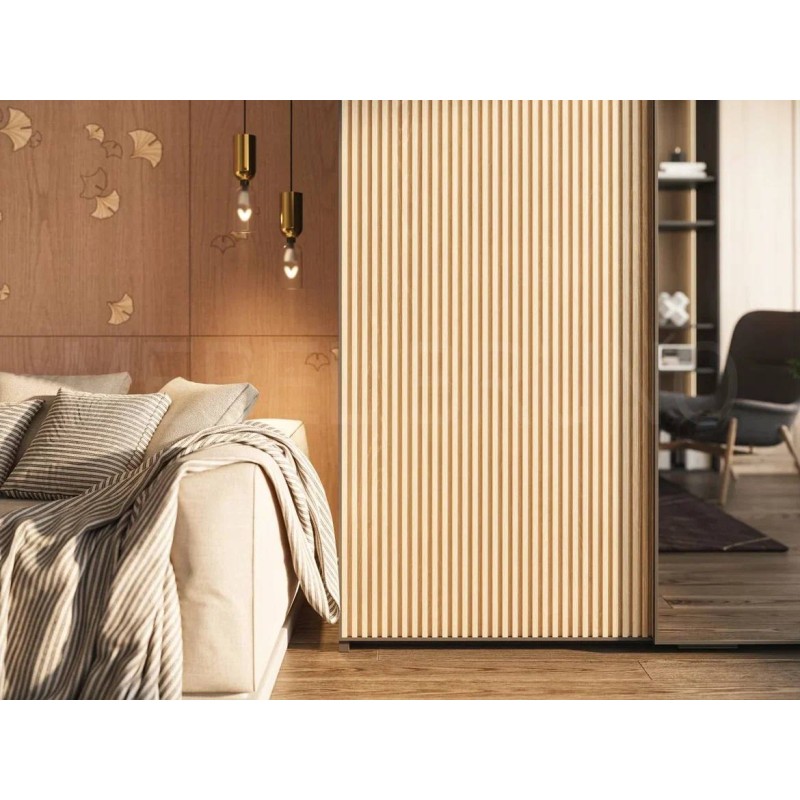 Шкаф-купе Венто