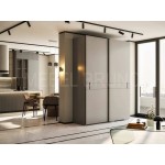 Шкаф-купе Вердж 