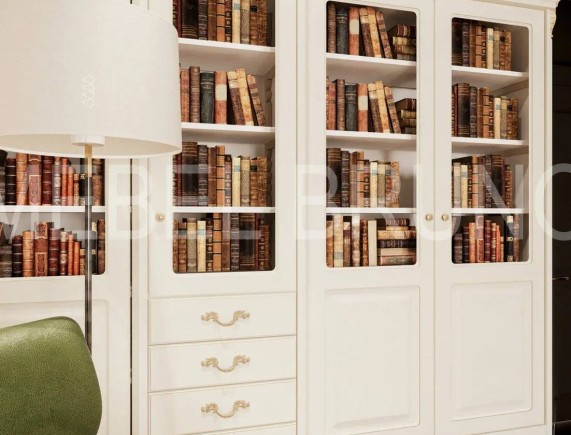 Книжный шкаф Айри