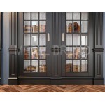 Книжный шкаф-купе Брином