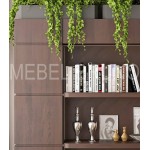 Книжный шкаф Крафт