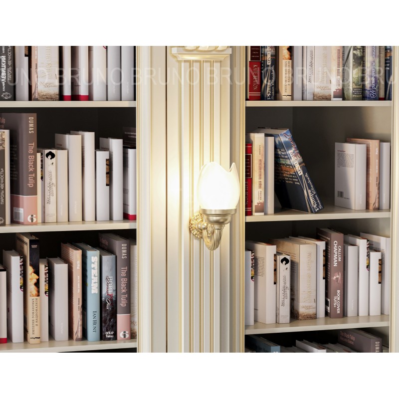 Библиотечный шкаф Каприо