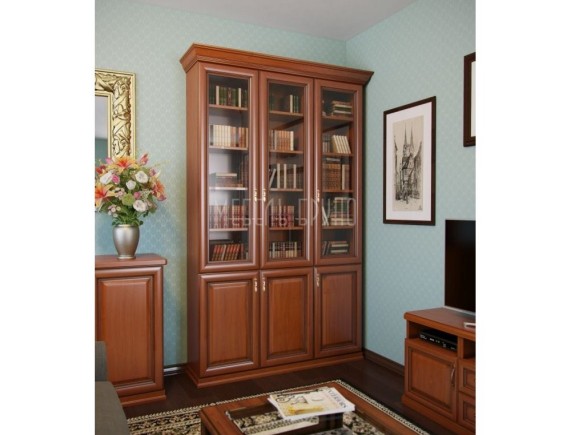 Книжный шкаф Косинус