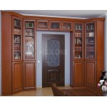 Книжный шкаф Омоним