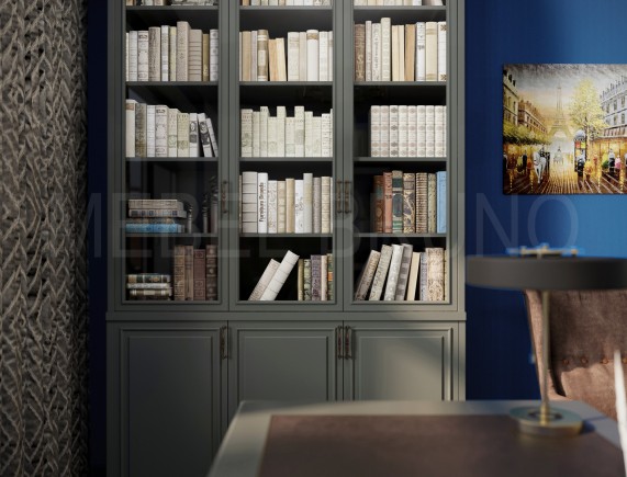 Книжный шкаф Алагоз