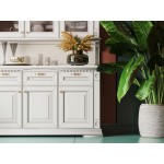 Буфет Берленго 