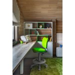 Детская Гвин 