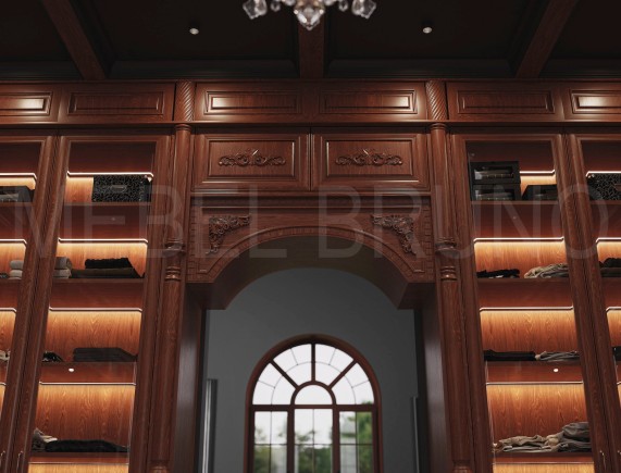 Гардеробная Даная